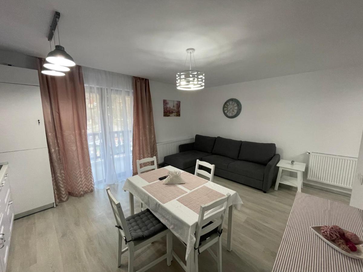 Castle Residence Apt. Eminescu Busteni Bagian luar foto